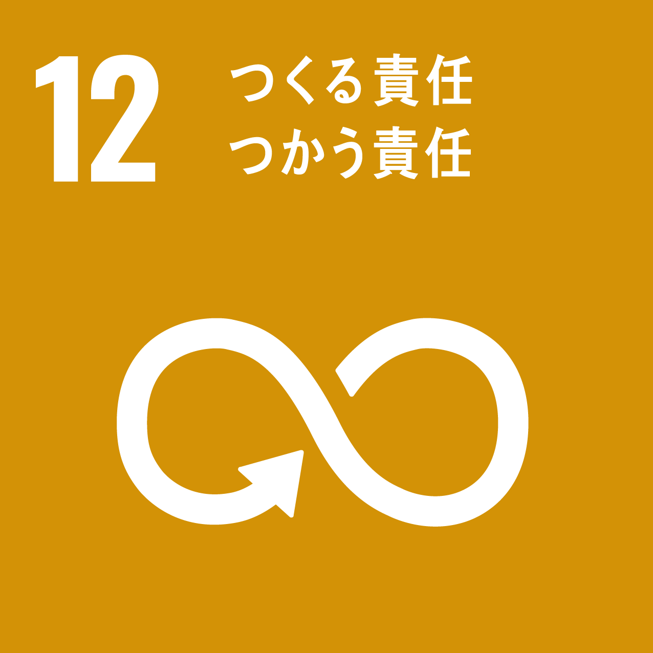 sdg_icon_12